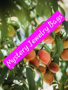 🍑Mystery Jewelry Bags